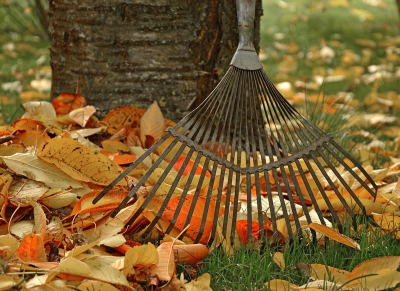 Gardening Tools